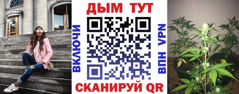 Конопля ГИДРОПОН Богородицк